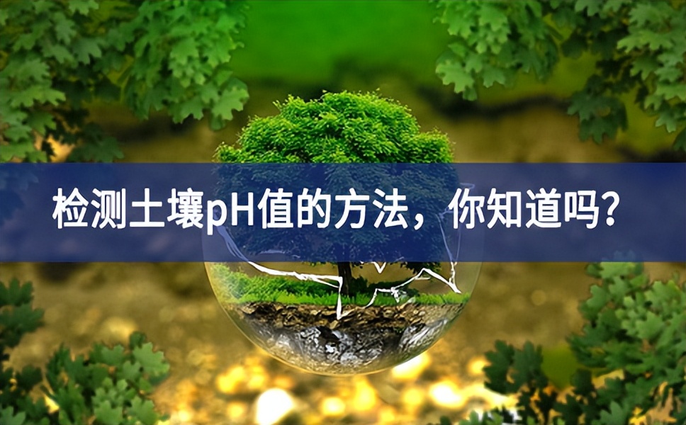 檢測(cè)土壤pH值的方法長效機製，你知道嗎？