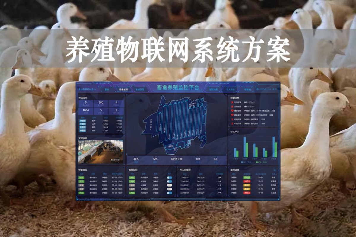 【智慧養(yǎng)殖】數(shù)字經(jīng)濟時代到來，養(yǎng)殖物聯(lián)網(wǎng)系統(tǒng)方案來了