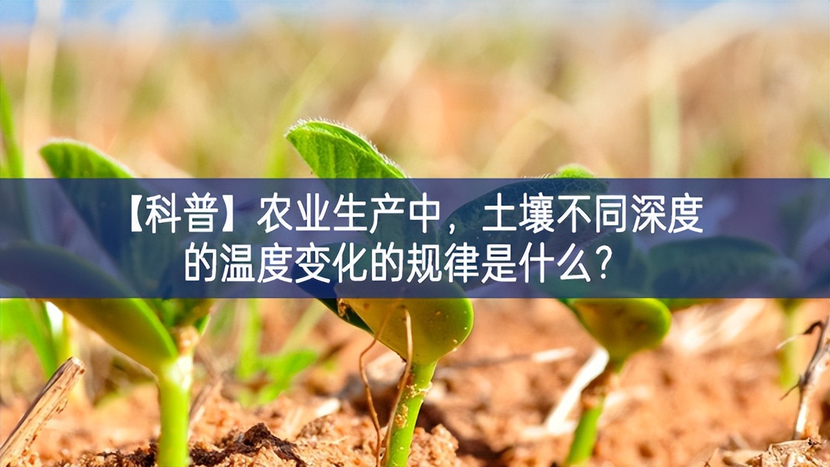 【科普】農(nóng)業(yè)生產(chǎn)中管理，土壤不同深度的溫度變化的規(guī)律是什么？
