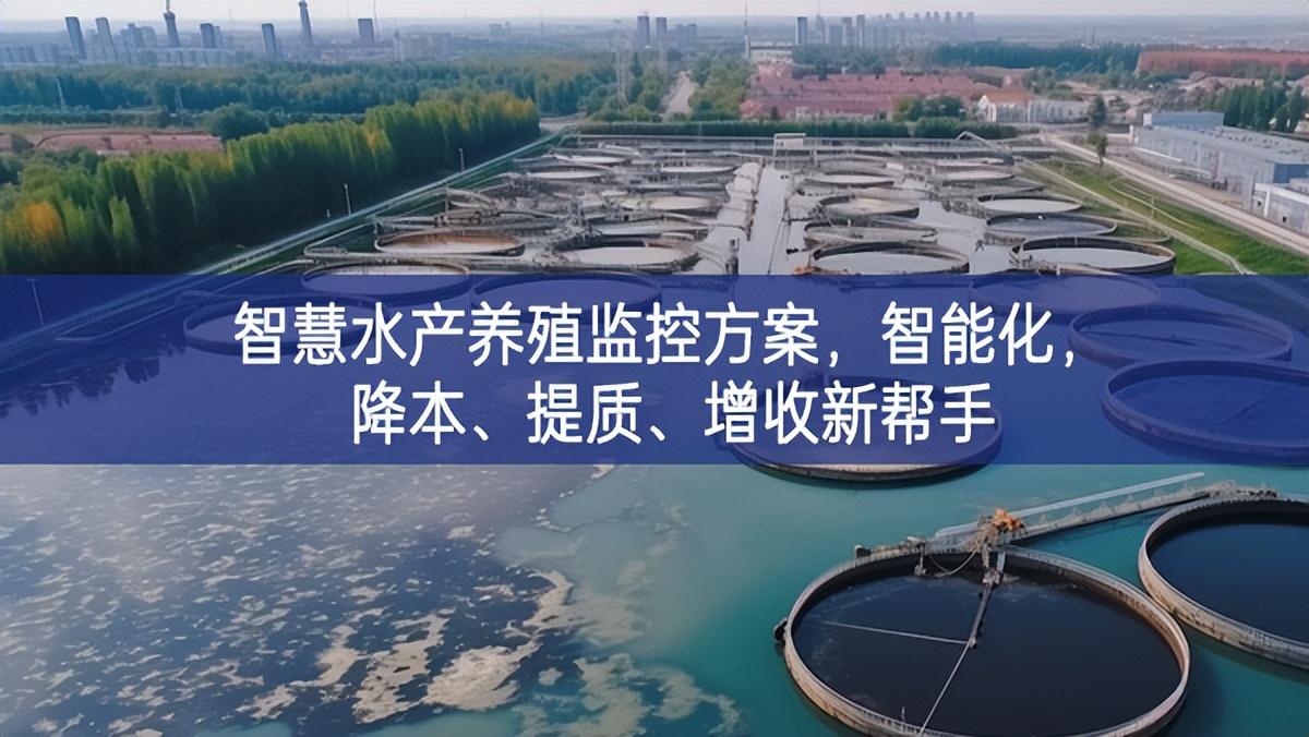 智慧水產(chǎn)養(yǎng)殖監(jiān)控方案，智能化相對較高，降本信息化、提質(zhì)、增收新幫手