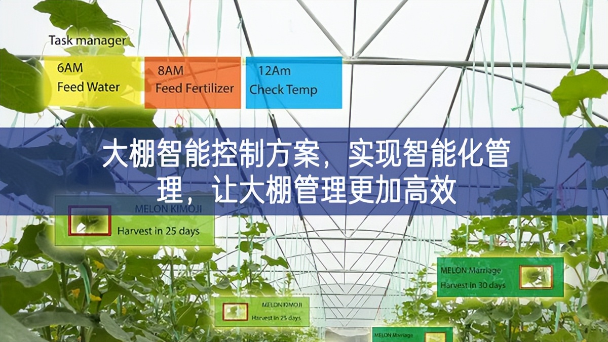大棚智能控制方案，實現(xiàn)智能化管理行動力，讓大棚管理更加高效