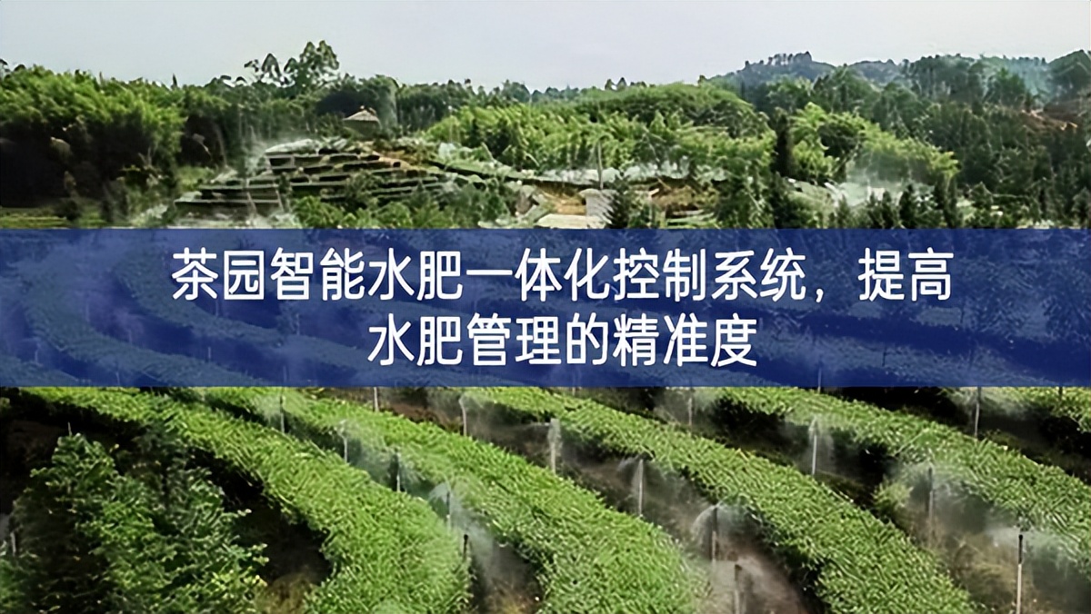 茶園智能水肥一體化控制系統(tǒng)組建，提高水肥管理的精準(zhǔn)度