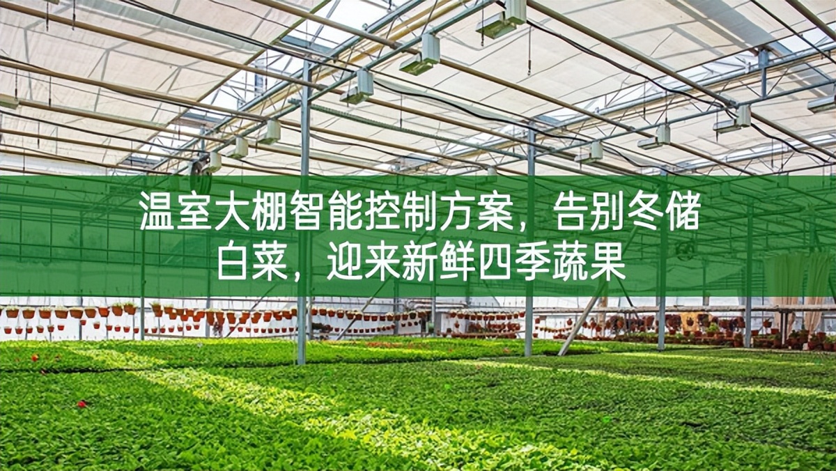 溫室大棚智能控制方案，告別冬儲白菜系統，迎來新鮮四季蔬果