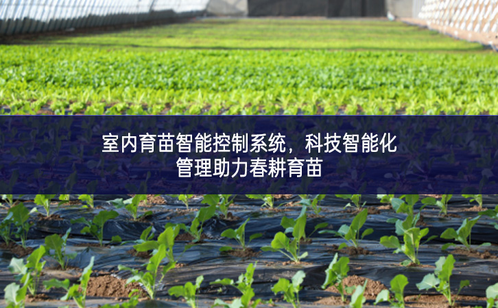 室內(nèi)育苗智能控制系統(tǒng)單產提升，科技智能化管理助力春耕育苗