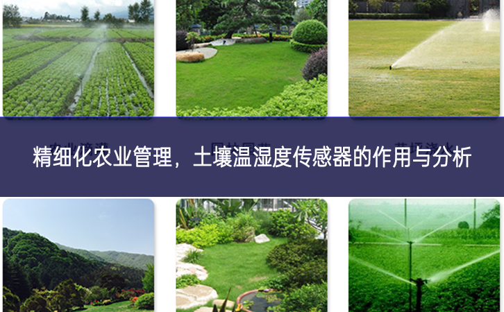 精細化農(nóng)業(yè)管理進展情況，土壤溫濕度傳感器的作用與分析