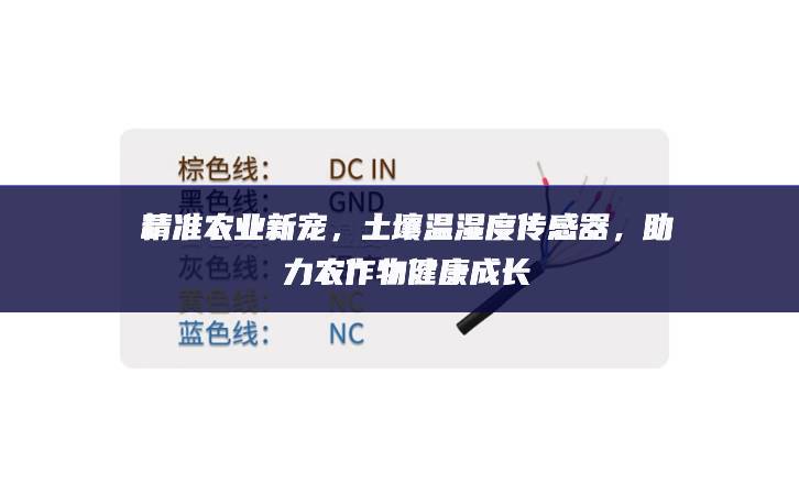 精準(zhǔn)農(nóng)業(yè)新寵效率和安，土壤溫濕度傳感器就能壓製，助力農(nóng)作物健康成長
