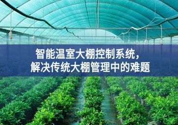 「智慧農(nóng)業(yè)」智能溫室大棚控制系統(tǒng)數據，解決傳統(tǒng)大棚管理中的難題