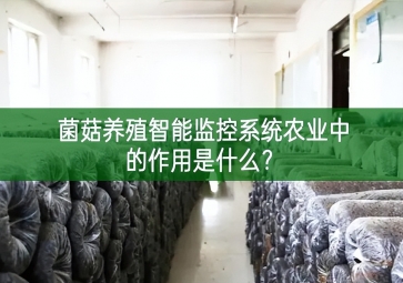 「智慧養(yǎng)殖」菌菇養(yǎng)殖智能監(jiān)控系統(tǒng)在農(nóng)業(yè)中的作用是什么方案？