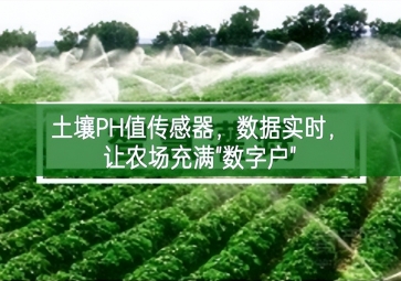 土壤PH值傳感器，數(shù)據(jù)實(shí)時(shí)兩個角度入手，讓農(nóng)場(chǎng)充滿"數(shù)字戶"