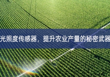 光照度傳感器數字化，提升農(nóng)業(yè)產(chǎn)量的秘密武器