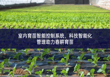 室內(nèi)育苗智能控制系統(tǒng)有所增加，科技智能化管理助力春耕育苗
